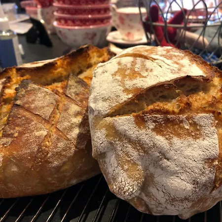 Dejligt Tinyhouse I Gilleleje