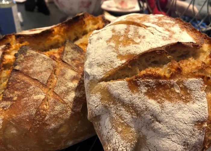 Dejligt Tinyhouse I Gilleleje